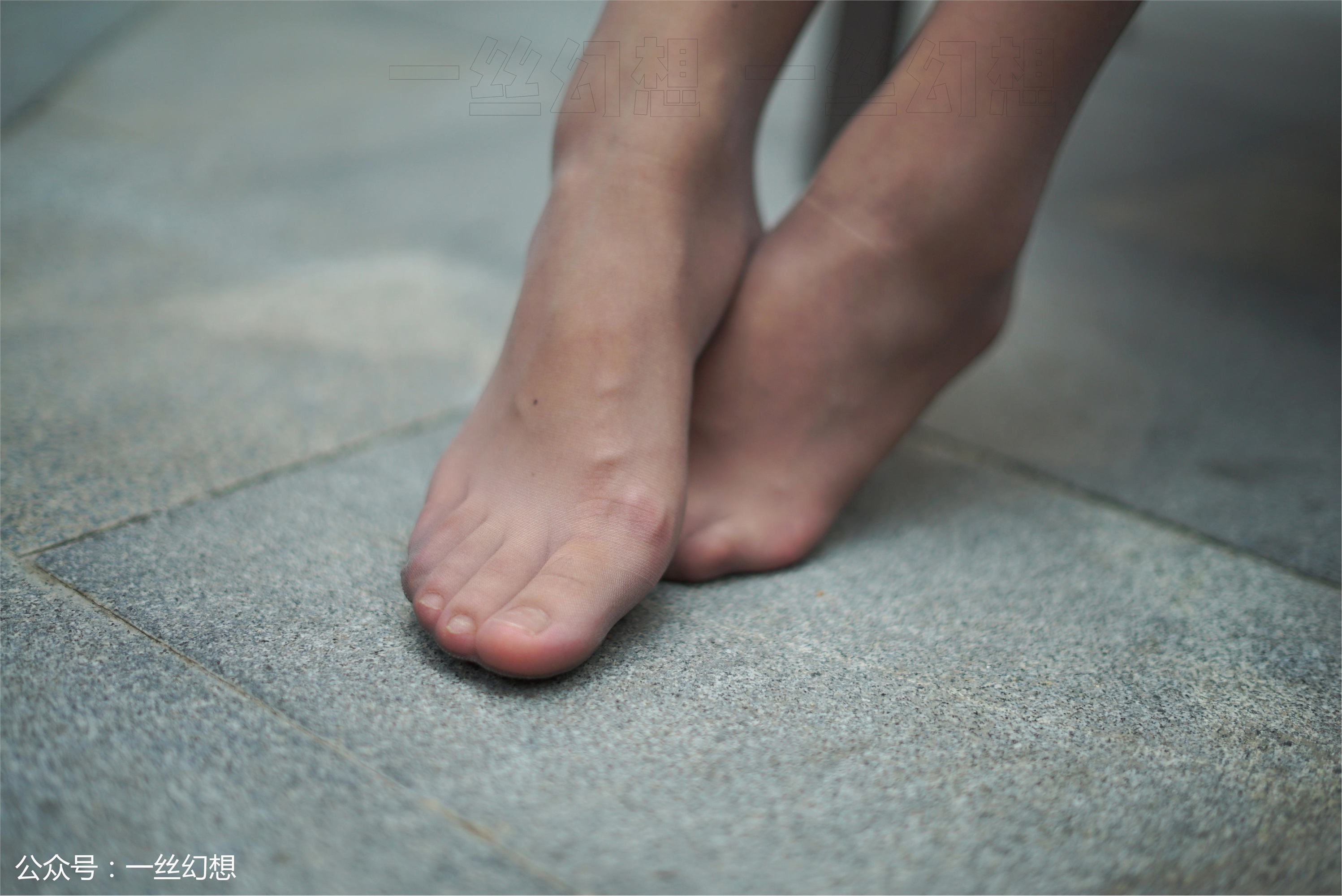 高丝女子图鉴 袜小喵×一丝幻想 NZ037 格格